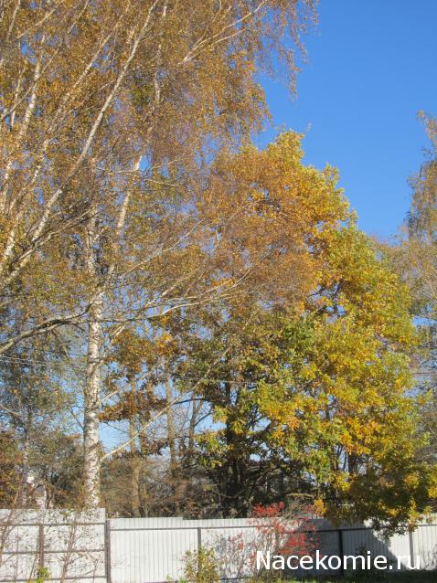 "Живой уголок"