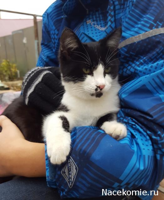 "Живой уголок"