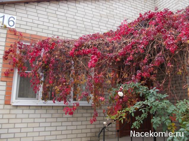 Куклы в народных костюмах – "Девчушки-болтушки"