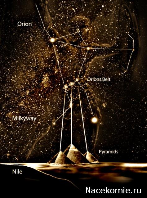 "Живой уголок"