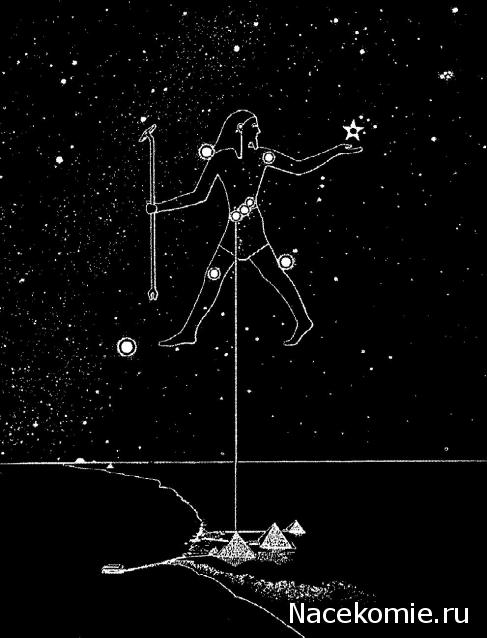 "Живой уголок"