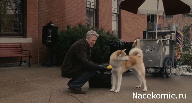 Кинозал автолюбителей