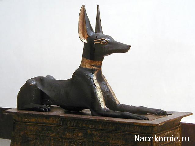 "Живой уголок"