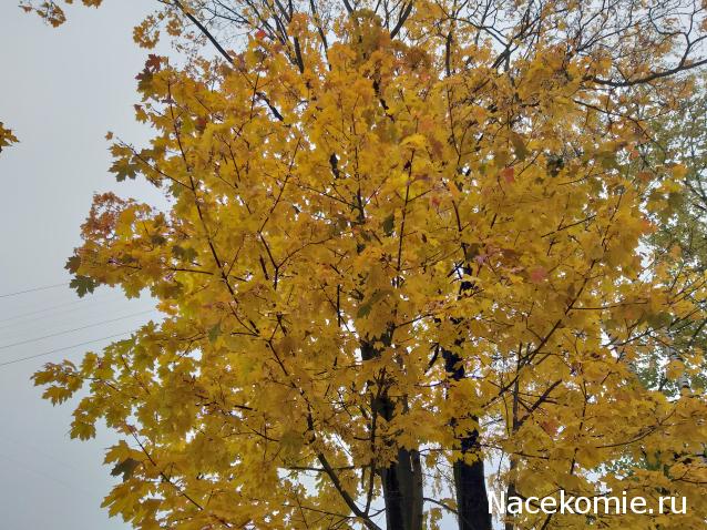 "Живой уголок"