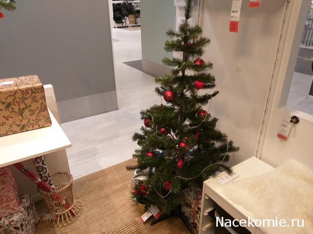 "Живой уголок"