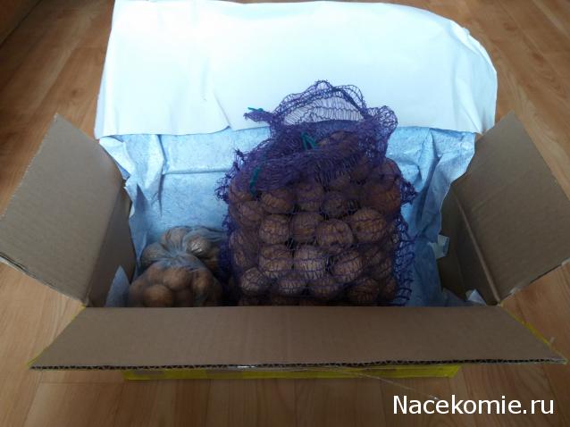 Тракторная болталка