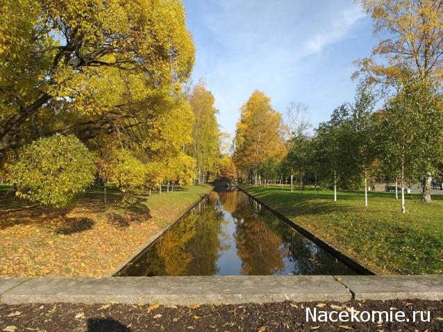 "Живой уголок"