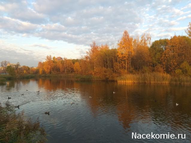 "Живой уголок"