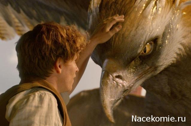 Кинозал автолюбителей