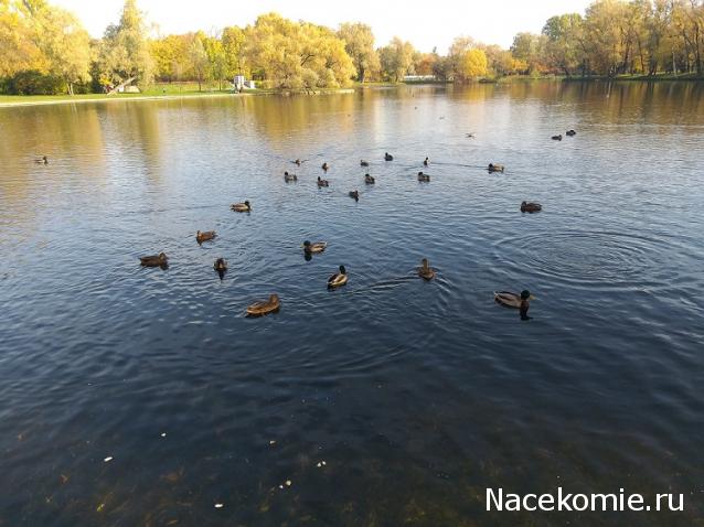 "Живой уголок"