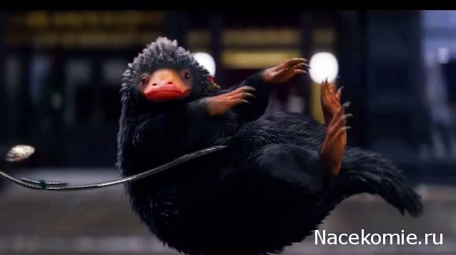 Кинозал автолюбителей