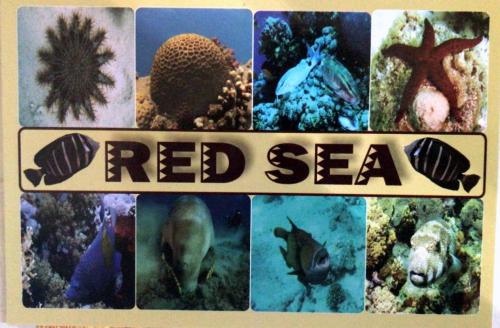 "Живой уголок"