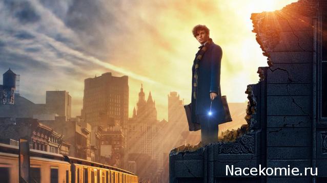 Кинозал автолюбителей