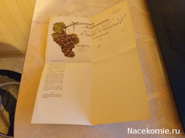 Eva1949 - Дом мечты-души моей воспоминания; 1Abrikoska - Мой гостеприимный дом