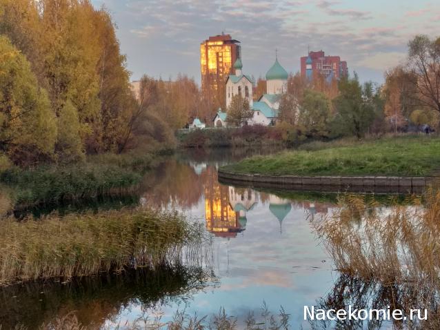 "Живой уголок"