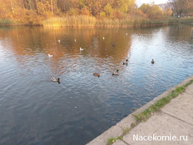 "Живой уголок"