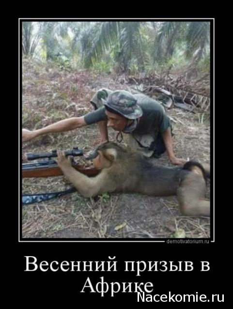 Тракторная болталка