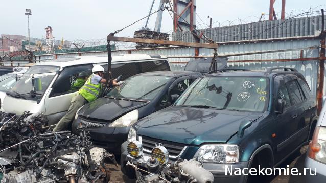 Автолегенды вживую