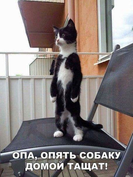 "Живой уголок"