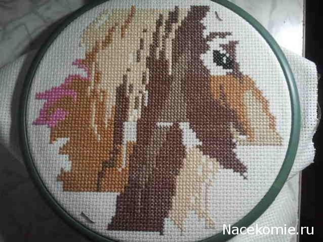 100 крестиков!