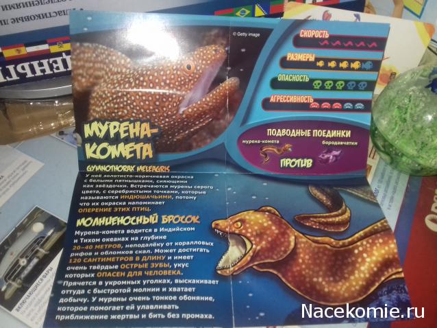 "Живой уголок"