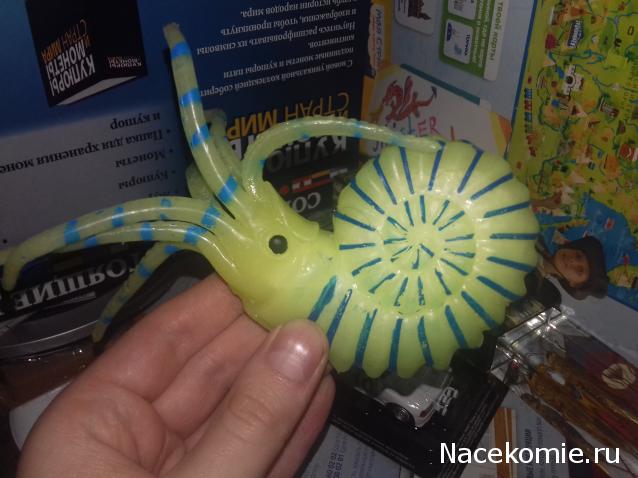 "Живой уголок"