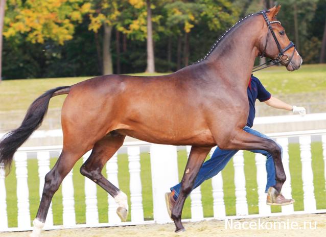 "Живой уголок"