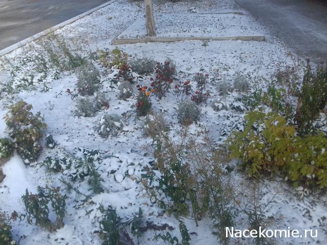 "Живой уголок"