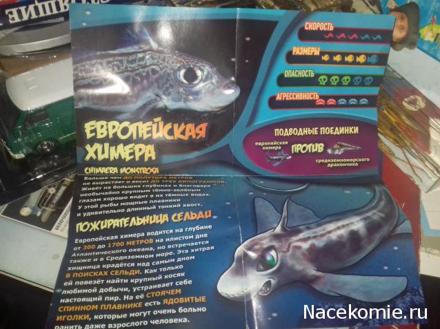 "Живой уголок"