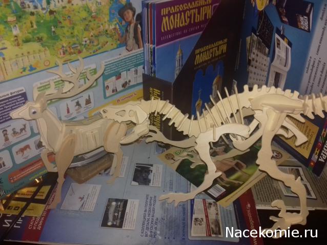 "Живой уголок"