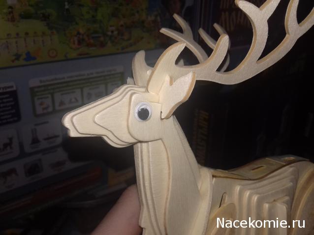 "Живой уголок"