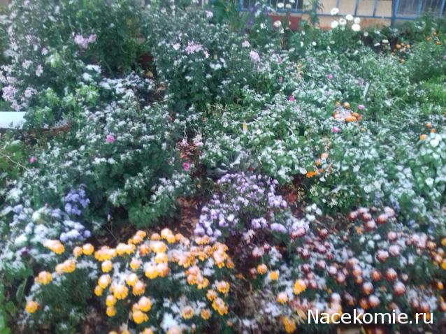 "Живой уголок"