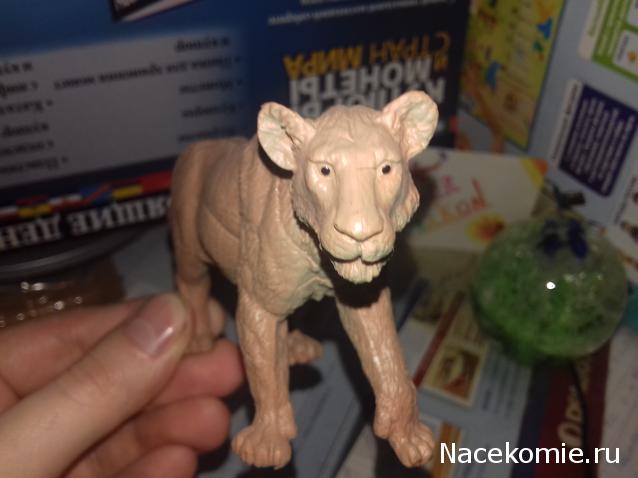 "Живой уголок"