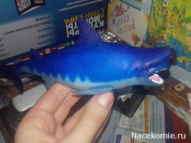 "Живой уголок"