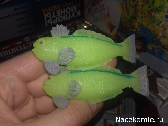 "Живой уголок"