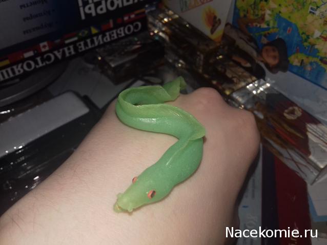 "Живой уголок"