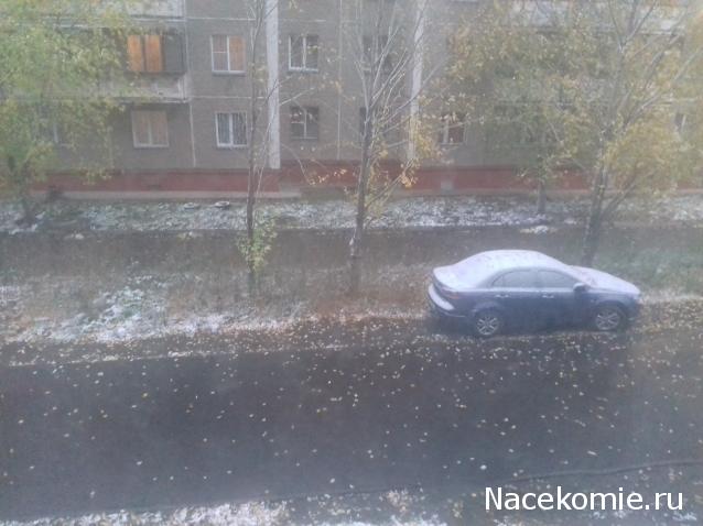 "Живой уголок"