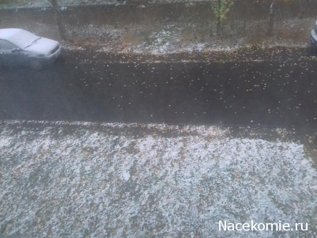 "Живой уголок"