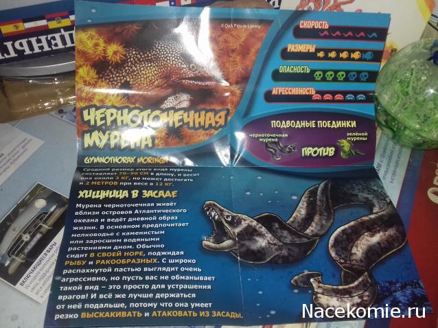 "Живой уголок"