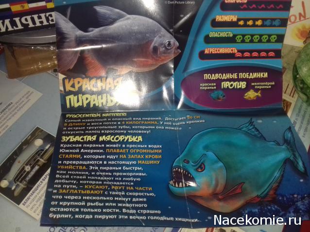 "Живой уголок"