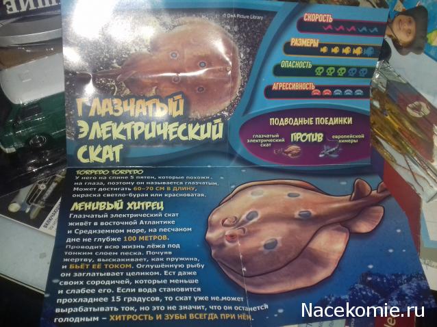 "Живой уголок"