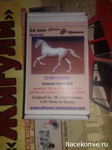 "Живой уголок"