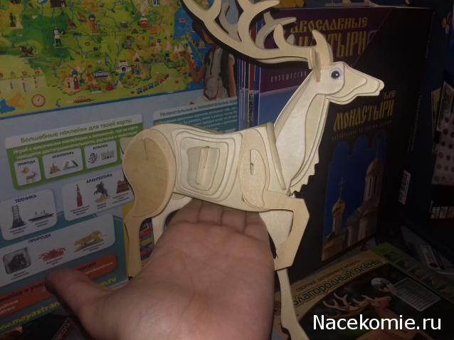 "Живой уголок"