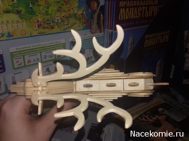 "Живой уголок"