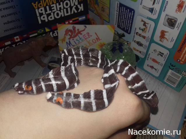 "Живой уголок"