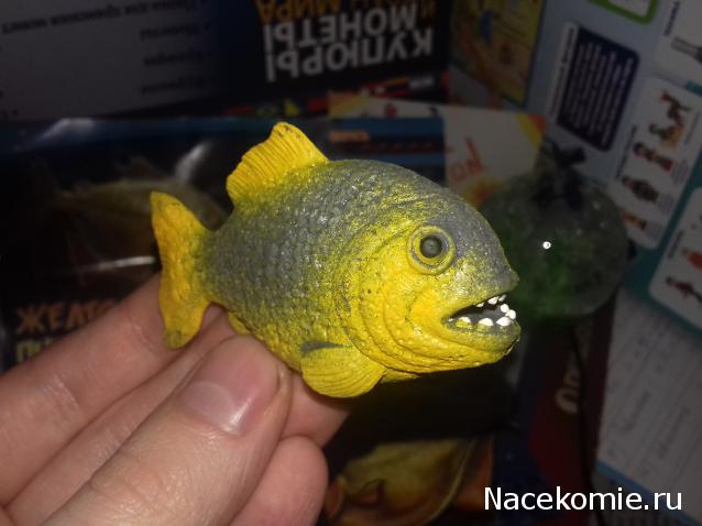 "Живой уголок"