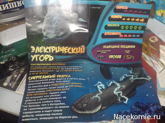 "Живой уголок"