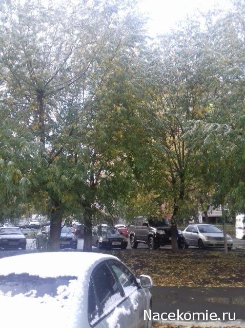 "Живой уголок"