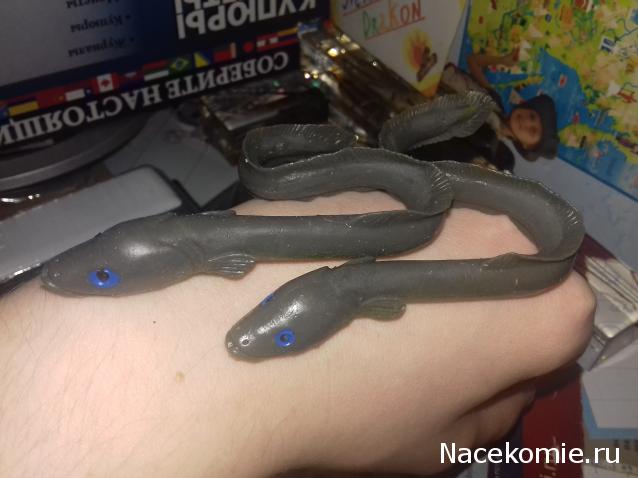 "Живой уголок"