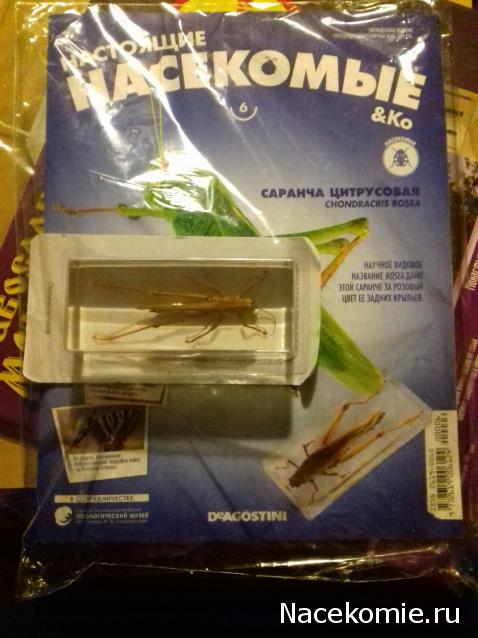 "Живой уголок"